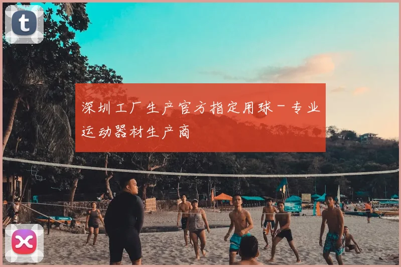 深圳工厂生产官方指定用球 - 专业运动器材生产商