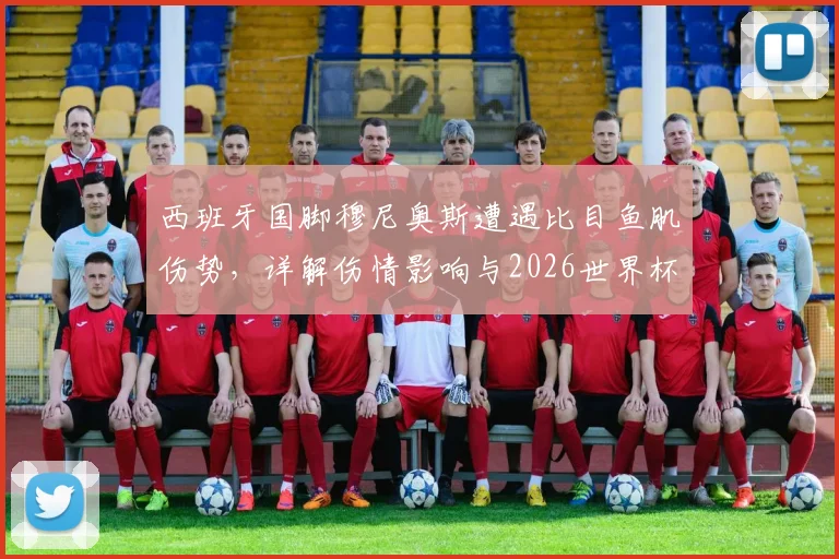 西班牙国脚穆尼奥斯遭遇比目鱼肌伤势,详解伤情影响与2026世界杯参赛可能性评估